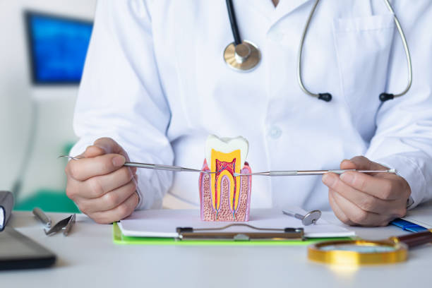 Best Emergency Root Canal Therapy in Chilhowie, VA